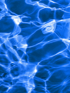 i298710142_94306_4.gif